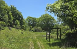 Lillibridge Road, Olean, NY 14760