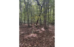 Dark Oaks, Pittsboro, NC 27312