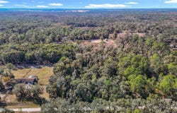 7241 Sonia Avenue, Webster, FL 33597