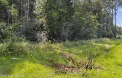 Belmont Estates Drive, Gautier, MS 39553