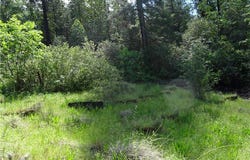 Powell Ridge, Oroville, CA 95966