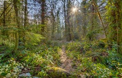 64281 E BRIGHTWOOD LOOP Rd, Brightwood, OR 97011