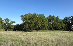 Rural 881 Rd, Verdigre, NE 68783