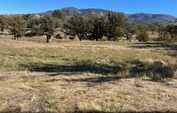 Cedar Canyon Drive, Tehachapi, CA 93561
