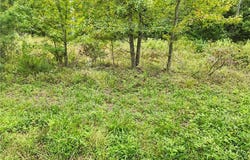 23124 Telegraph Rd, Ruther Glen, VA 22546