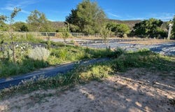 107 CR 51, Velarde, NM 87582