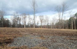 The Bluffs, Edgemont, AR 72088