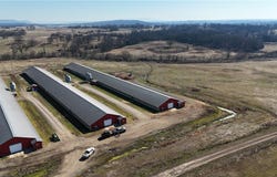 Hwy 398, Charleston, AR 72933