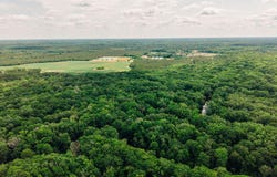 Parnel Road, Cope, SC 29038
