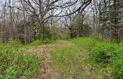 Highway T, Milan, MO 63556