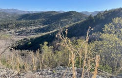 445 STORM MOUNTAIN Dr, Fairview, UT 84629