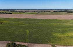 County 61, Browerville, MN 56438