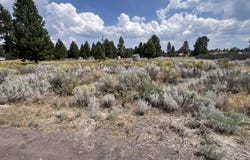 Shoreview Drive, Chiloquin, OR 97624
