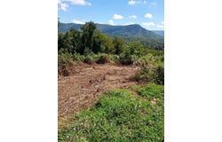 Champion Street lot: 0, Cedar Bluff, VA 24609