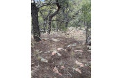 13th Trail, Cotopaxi, CO 81223