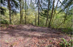 NE FINALBURG Rd, LaCenter, WA 98629