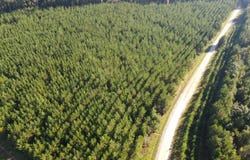 Kilpatrick Rd Tract 1D, Eatonton, GA 31024