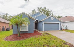 11706 PURE PEBBLE Drive, RIVERVIEW, FL 33569