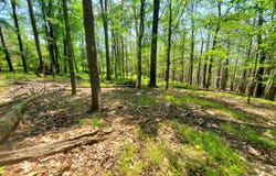 Piney Lane, Cragsmoor, NY 12420