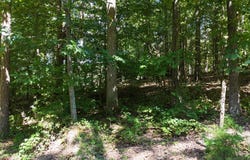 Fezzell Road, Decatur, TN 37322