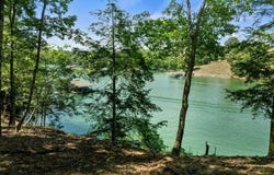 LOT 88 SIPSEY OVERLOOK Rd, Double Springs, AL 35553