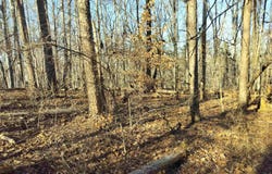 343 Beech Drive, Westminster, SC 29693