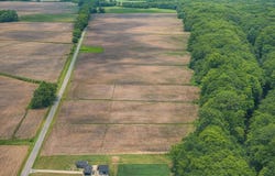 Swamp Road, Hertford, NC 27944