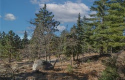 0 Cobblestone, Running Springs, CA 92382