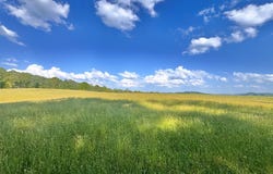 178 GRANDE RD, FAIRDALE, WV 25839