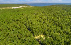 403 County Road 51, Jasper, TX 75951