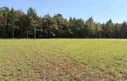 1420 Kelley Rd., Olanta, SC 29114