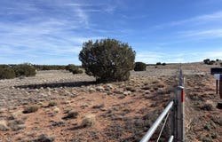 9681 E Concho Highway, Snowflake, AZ 85937