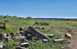 E Fleetwood Avenue, Springerville, AZ 85938