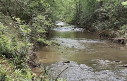 64, Lenoir, NC 28633