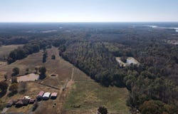Bland Chapel Road, Ward, AR 72176