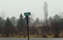 Track Iron Trail, Gladwin, MI 48624