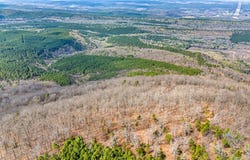 40 Acres, Dardanelle, AR 72834