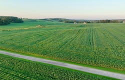 HWY 121, Osseo, WI 54758