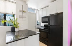 1209 N State Parkway, Chicago, IL 60611