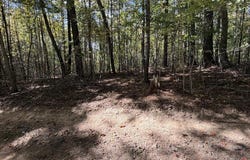Byllesby Road, Ivanhoe, VA 24350