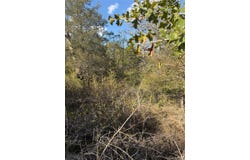 Palikea Cir lot: 539, Bastrop, TX 78602