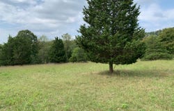 Leesville Road, Altavista, VA 24517