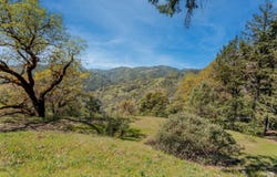 15800 Ridgeview Road, Willits, CA 95490