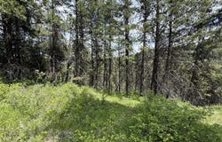 TBD SLIPPERY HILL RD, REPUBLIC, WA 99166