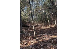 8 Lots Unknown Lane, Blakely, GA 39823