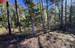 45 Old Federal Highway, Quincy, FL 32351