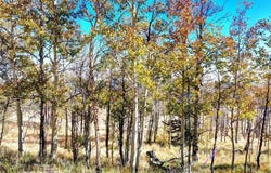 74 Antelope Circle lot: 73, COMO, CO 80456