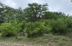 261 River Dr, Rio Frio, TX 78879