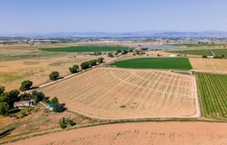 Windsor, CO 80550