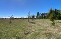 State Hwy 87 - Lot 2, Park Rapids, MN 56470